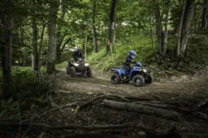 Sportsman 110 - Image 6