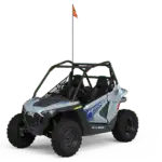 RZR 200