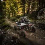 RZR RS1 hátsó gallytörő - Image 3