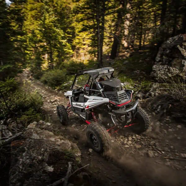 RZR RS1 hátsó gallytörő - Image 3