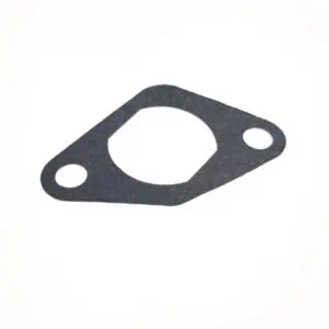 linhai 300 400 lancefsziti tomites